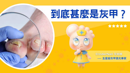 甚麼是灰甲？
