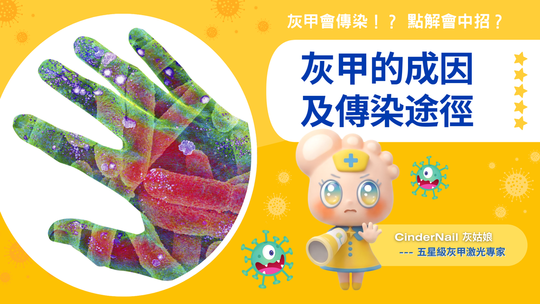 灰甲的成因及傳染途徑